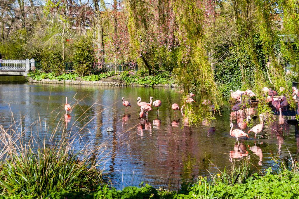 Hotel Park Plantage Amszterdam Kültér fotó